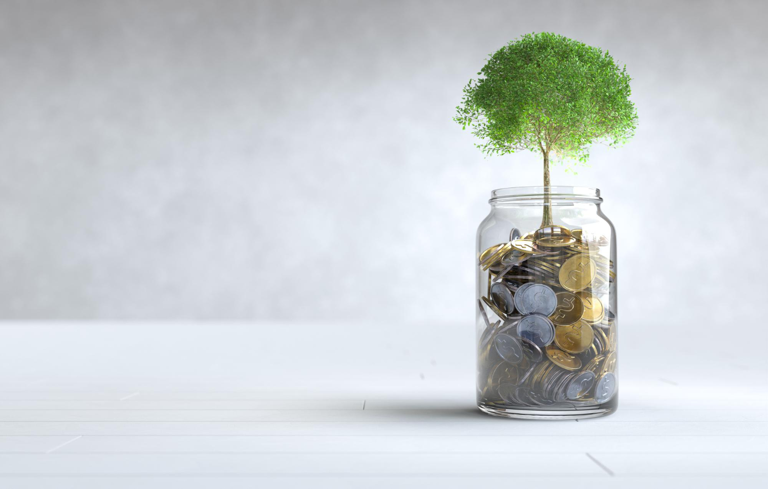 Investment Growth